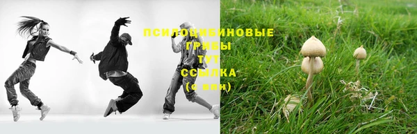 гидропоника Карпинск