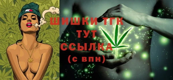 ПСИЛОЦИБИНОВЫЕ ГРИБЫ Карталы