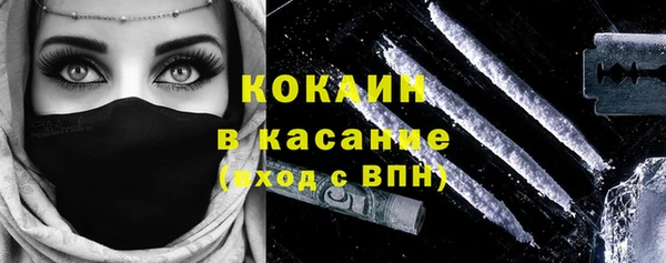 ПСИЛОЦИБИНОВЫЕ ГРИБЫ Карталы